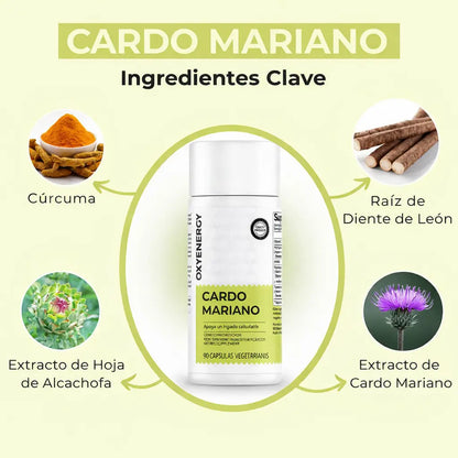 Siéntete más ligero, vive con más vitalidad con el cardo mariano ACGVA™