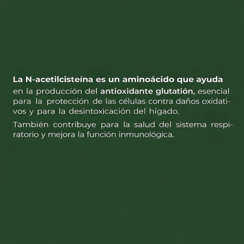 Nac Sunfood 1000mg 120 Cápsulas