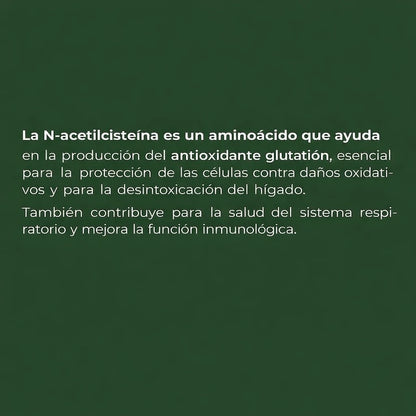 Nac Sunfood 1000mg 120 Cápsulas