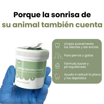 Toallitas dentales ProCare
