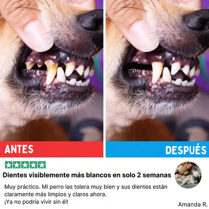 Toallitas dentales ProCare