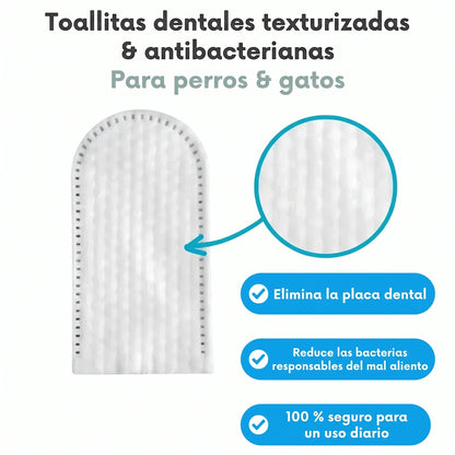 Toallitas dentales ProCare