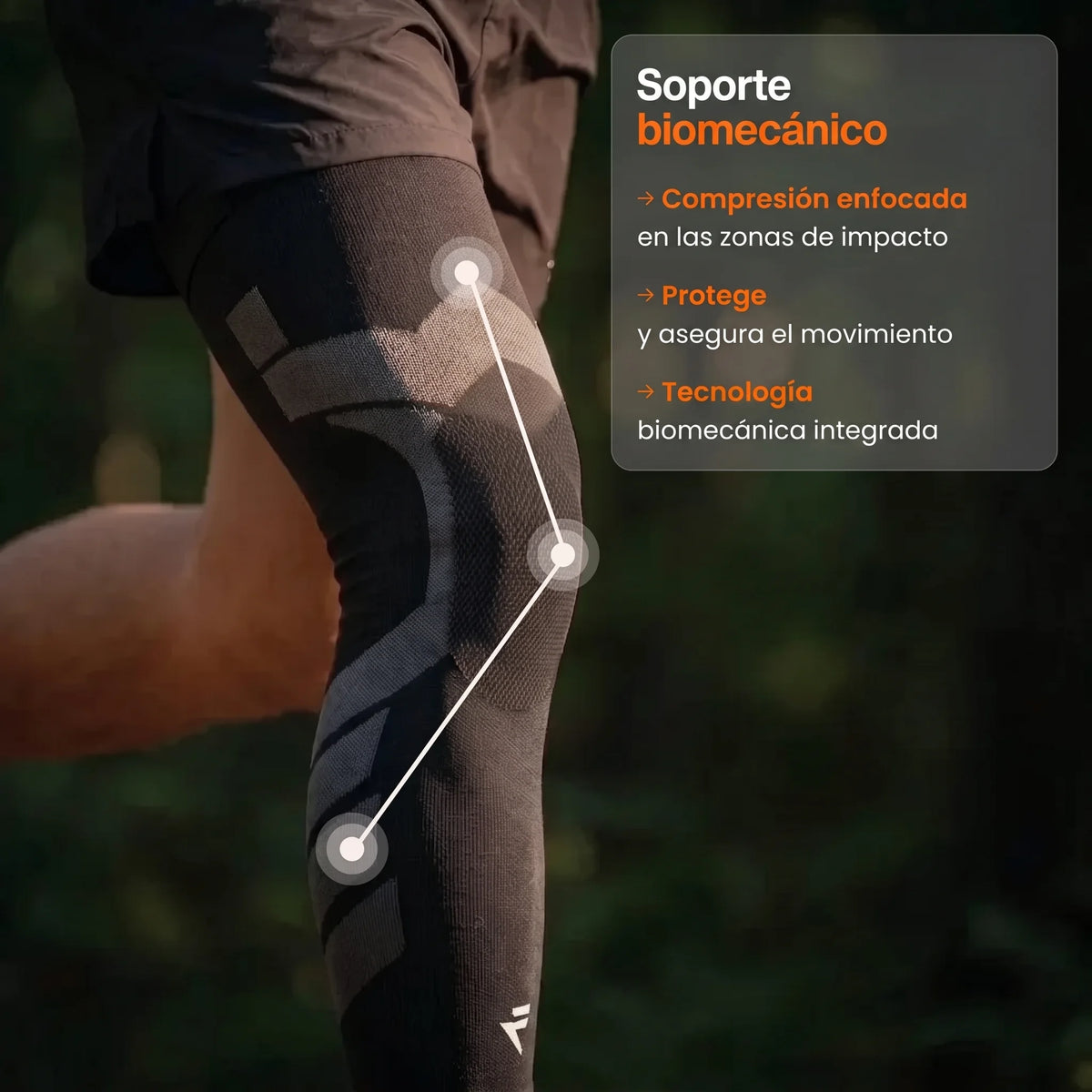 Soporte de compresión V2 para rodillas y piernas