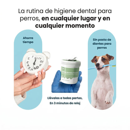 Toallitas dentales ProCare