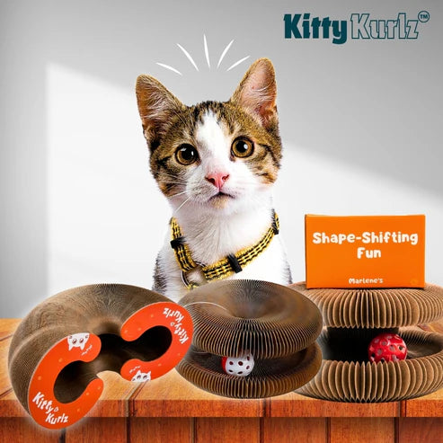 Kitty Kurlz – el juguete interactivo que ejercita la mente y el cuerpo de tu gato