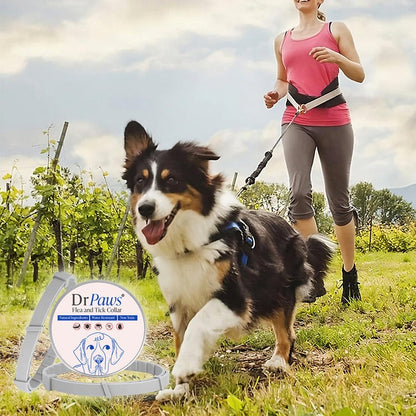 DrPaws® - Collar libre de pulgas y garrapatas por 8 meses