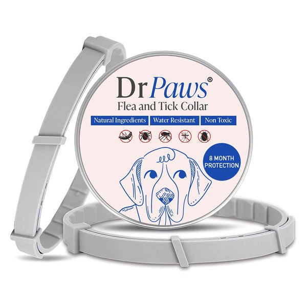 DrPaws® - Collar libre de pulgas y garrapatas por 8 meses