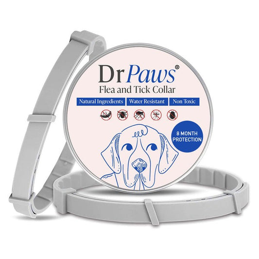 DrPaws® - Collar libre de pulgas y garrapatas por 8 meses