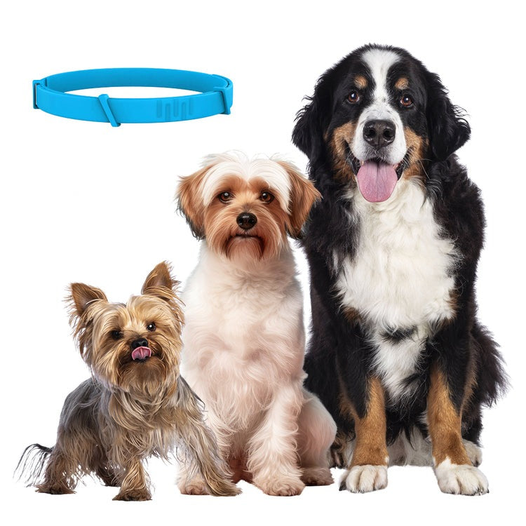 DrPaws® - Collar libre de pulgas y garrapatas por 8 meses